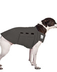 Rat Terrier Tummy Warmer - Voyagers K9 Apparel