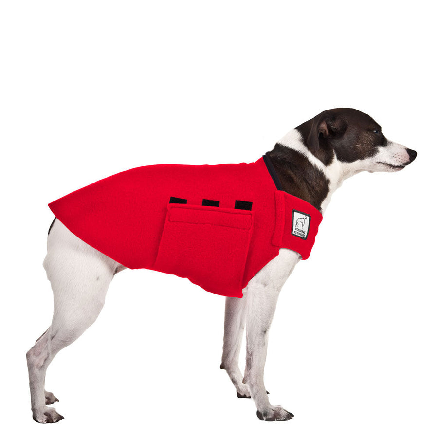 Rat Terrier Tummy Warmer - Voyagers K9 Apparel