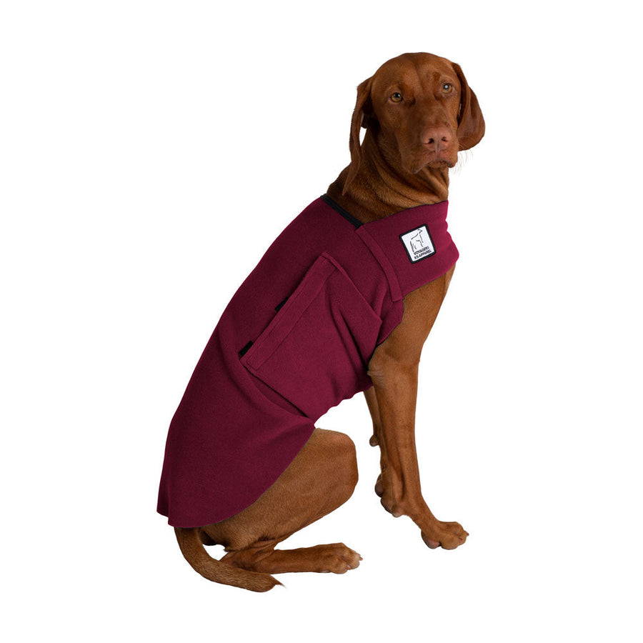 Vizsla Tummy Warmer - Voyagers K9 Apparel