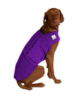 Vizsla Tummy Warmer - Voyagers K9 Apparel