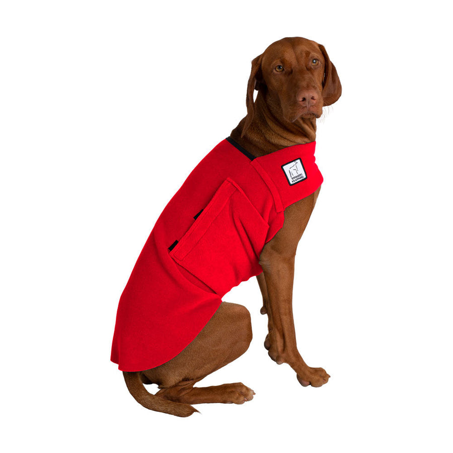 Vizsla Tummy Warmer - Voyagers K9 Apparel