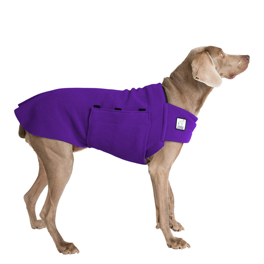 Weimaraner Tummy Warmer - Voyagers K9 Apparel