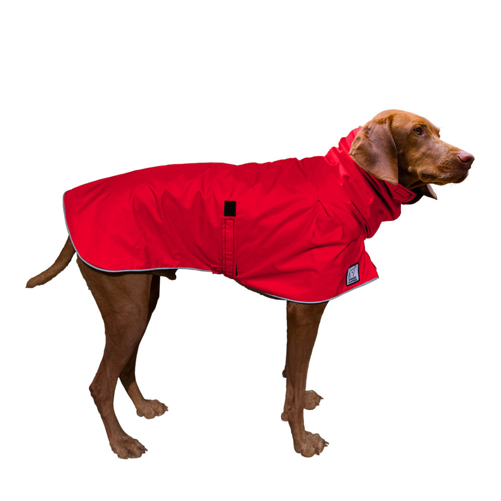 Vizsla Raincoat
