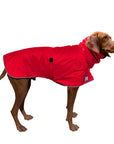 Vizsla Raincoat