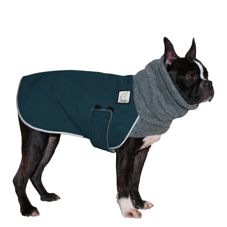 Boston Terrier Winter Coat (Dark Teal) - Voyagers K9 Apparel