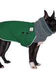 Boston  Terrier Winter Coat (Special Color Green) - Voyagers K9 Apparel