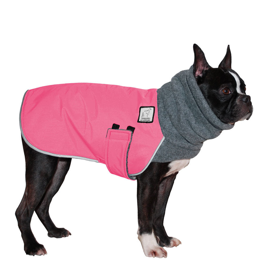 ReCoat ♻️ Boston Terrier Winter Coat