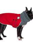 Boston Terrier Winter Coat - Voyagers K9 Apparel