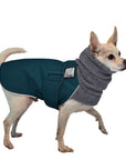 Chihuahua Winter Coat (Dark Teal) - Voyagers K9 Apparel