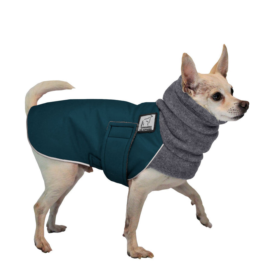 Chihuahua Winter Coat (Dark Teal) - Voyagers K9 Apparel