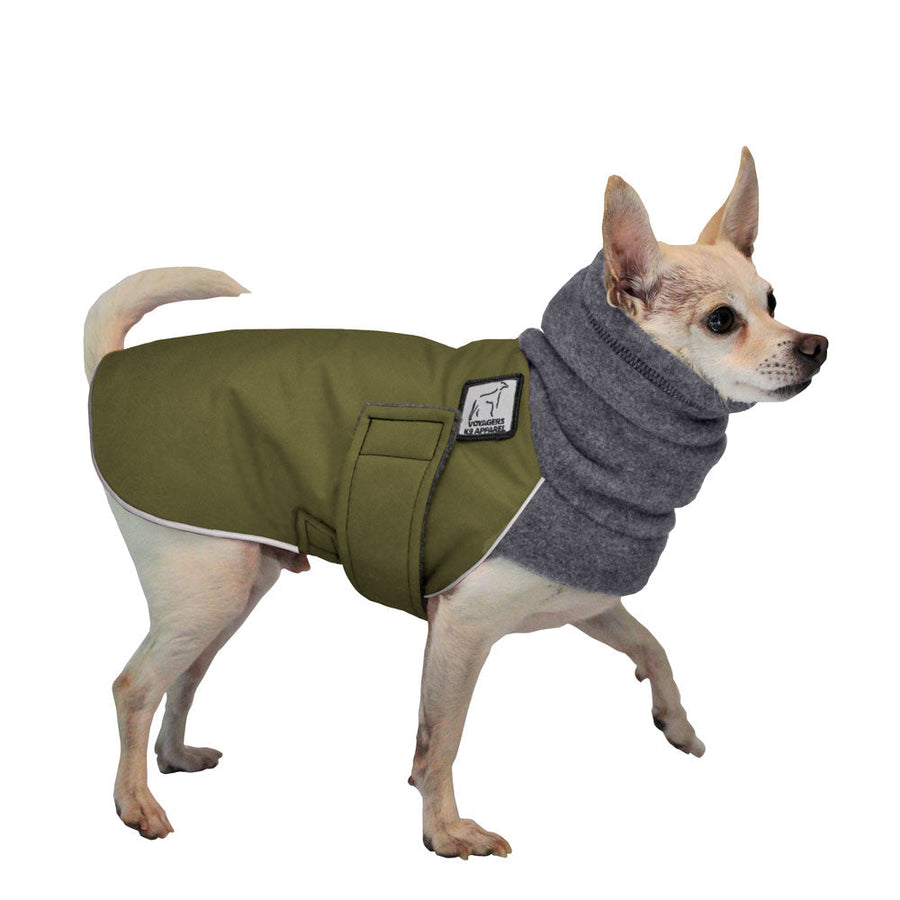 Chihuahua Winter Coat (Olive) - Voyagers K9 Apparel