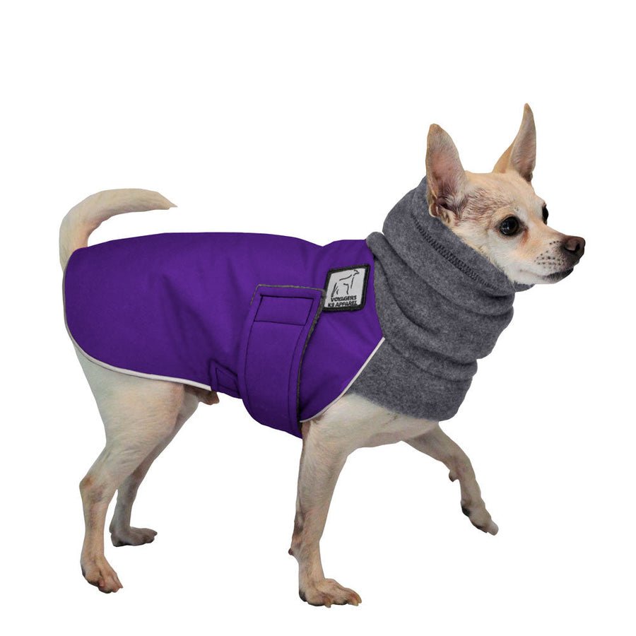 ReCoat ♻️ Chihuahua Winter Coat