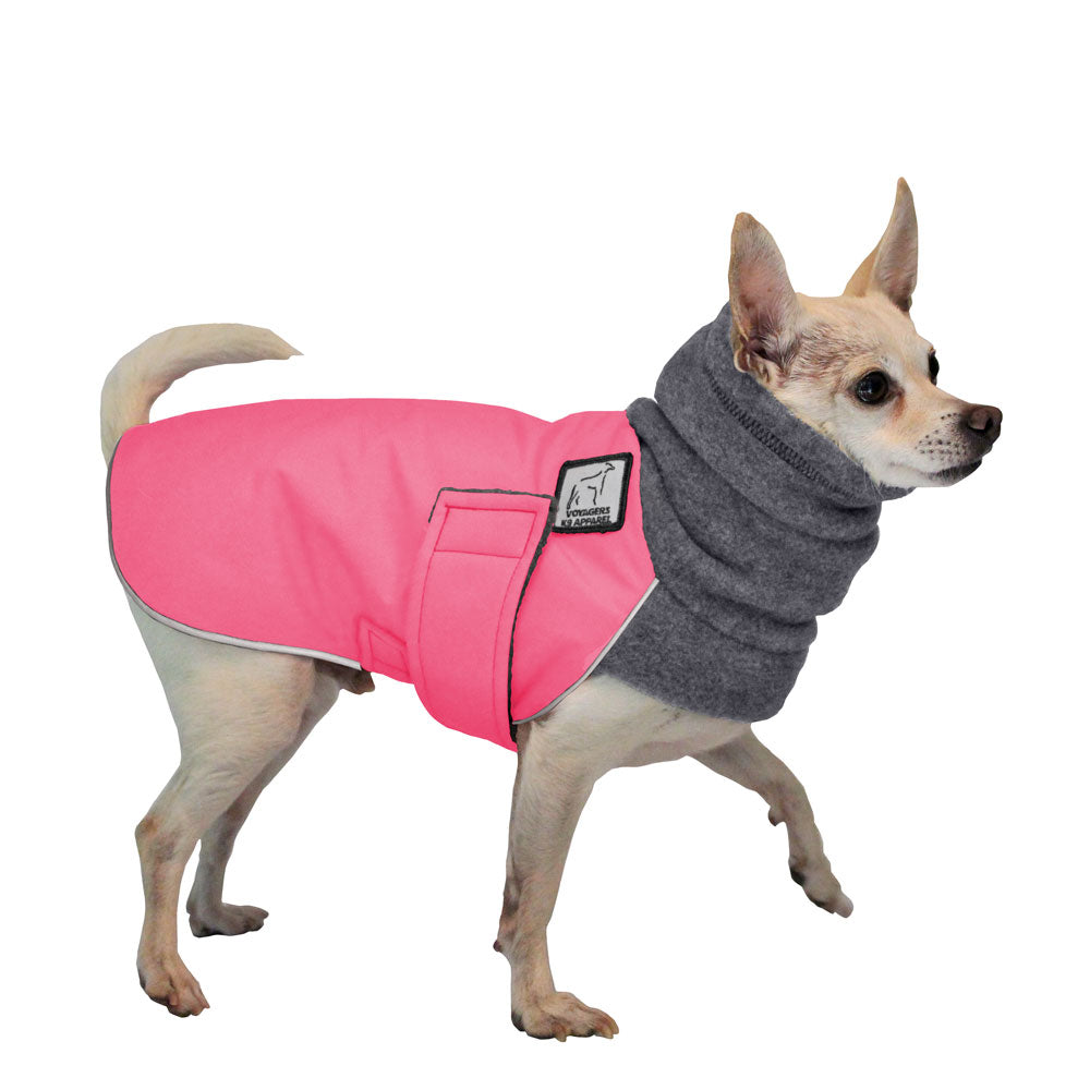 Chihuahua Winter Coat