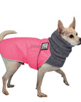 ReCoat ♻️ Chihuahua Winter Coat with Harness Opening