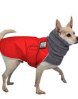 Chihuahua Winter Coat - Voyagers K9 Apparel