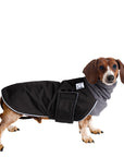 Dachshund Winter Coat  (Black)- Voyagers K9 Apparel