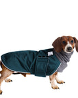 Dachshund Winter Coat (Dark Teal) - Voyagers K9 Apparel