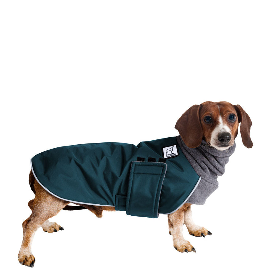 Dachshund Winter Coat (Dark Teal) - Voyagers K9 Apparel