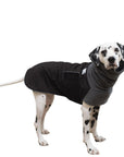 Dalmatian Winter Coat (Black) - Voyagers K9 Apparel