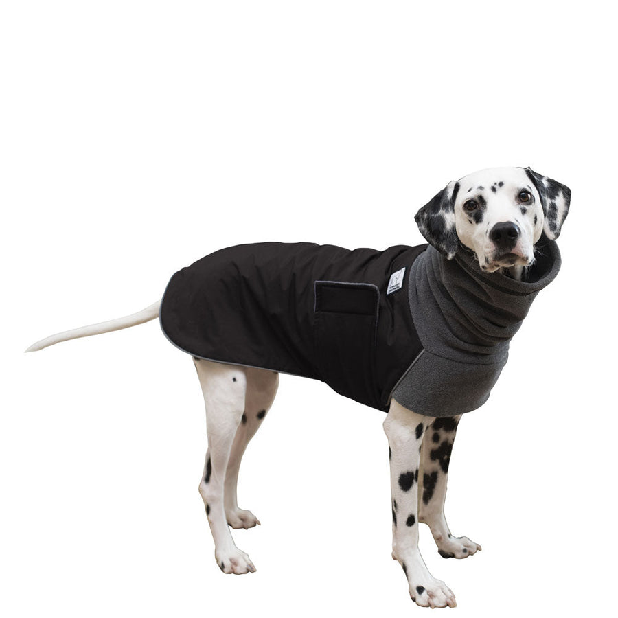 Dalmatian Winter Coat (Black) - Voyagers K9 Apparel