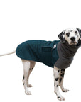 Dalmatian Winter Coat (Dark Teal)- Voyagers K9 Apparel