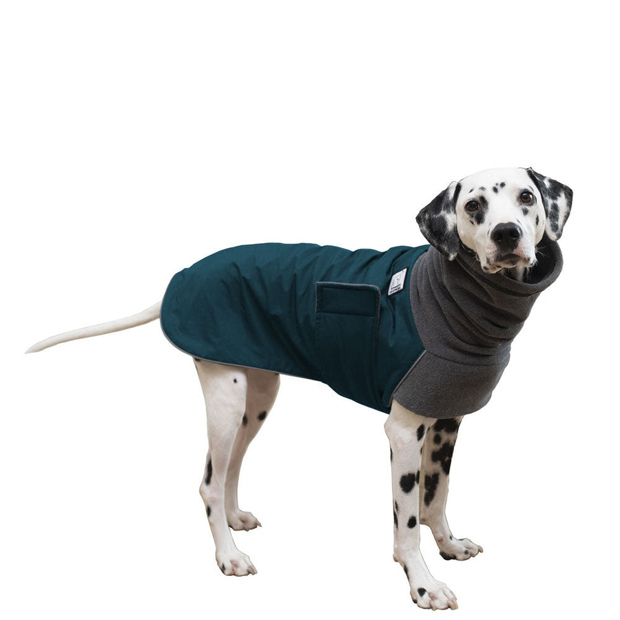 Dalmatian Winter Coat (Dark Teal)- Voyagers K9 Apparel