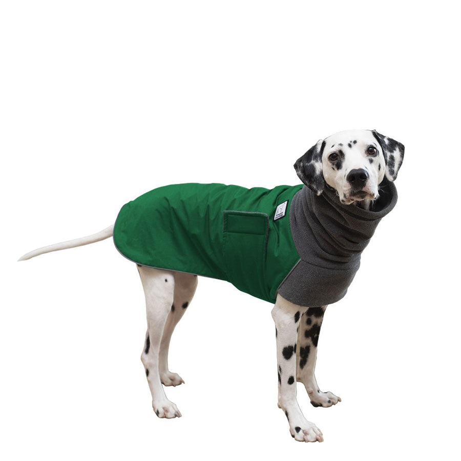 Dalmatian Winter Coat (Special Order Green) - Voyagers K9 Apparel