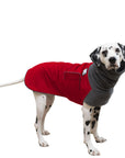 Dalmatian Winter Coat (Red) - Voyagers K9 Apparel