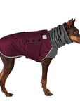 Doberman Pinscher Winter Coat (Burgundy) - Voyagers K9 Apparel