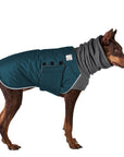 Doberman Pinscher Winter Coat (Dark Teal) - Voyagers K9 Apparel