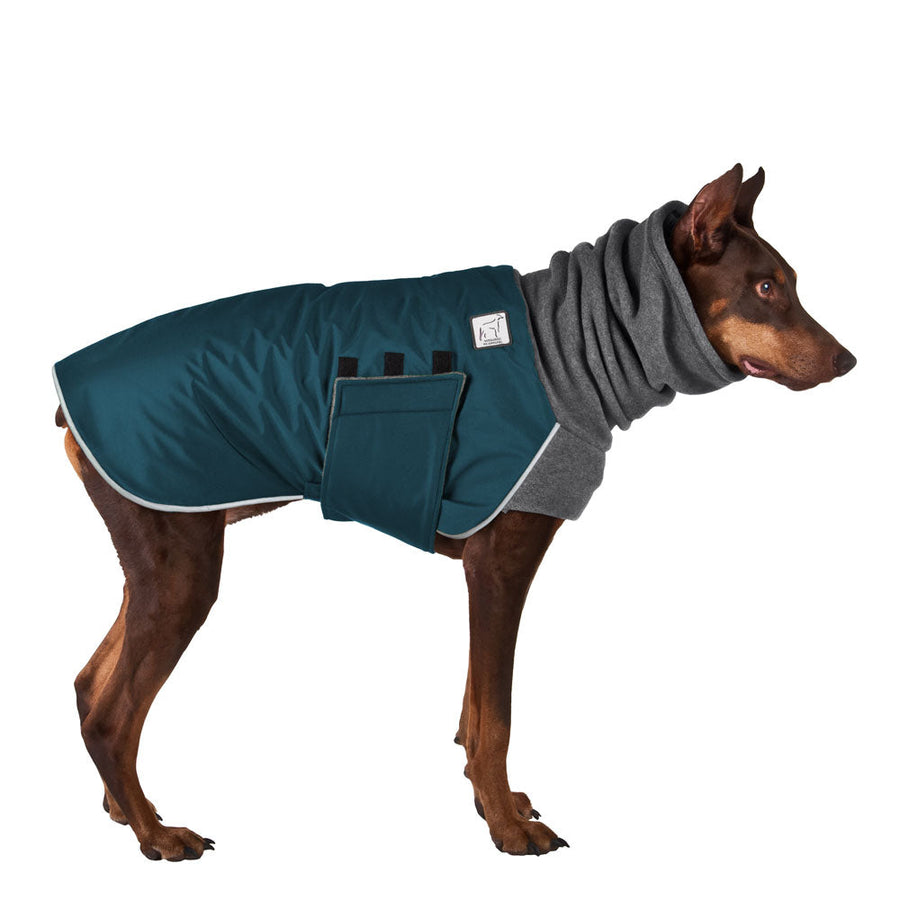 Doberman Pinscher Winter Coat (Dark Teal) - Voyagers K9 Apparel