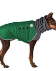 Doberman Pinscher Winter Coat (Special Order Green) - Voyagers K9 Apparel