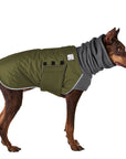 Doberman Pinscher Winter Coat (Olive) - Voyagers K9 Apparel