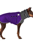 ReCoat ♻️ Doberman Pinscher Winter Coat with Harness Opening