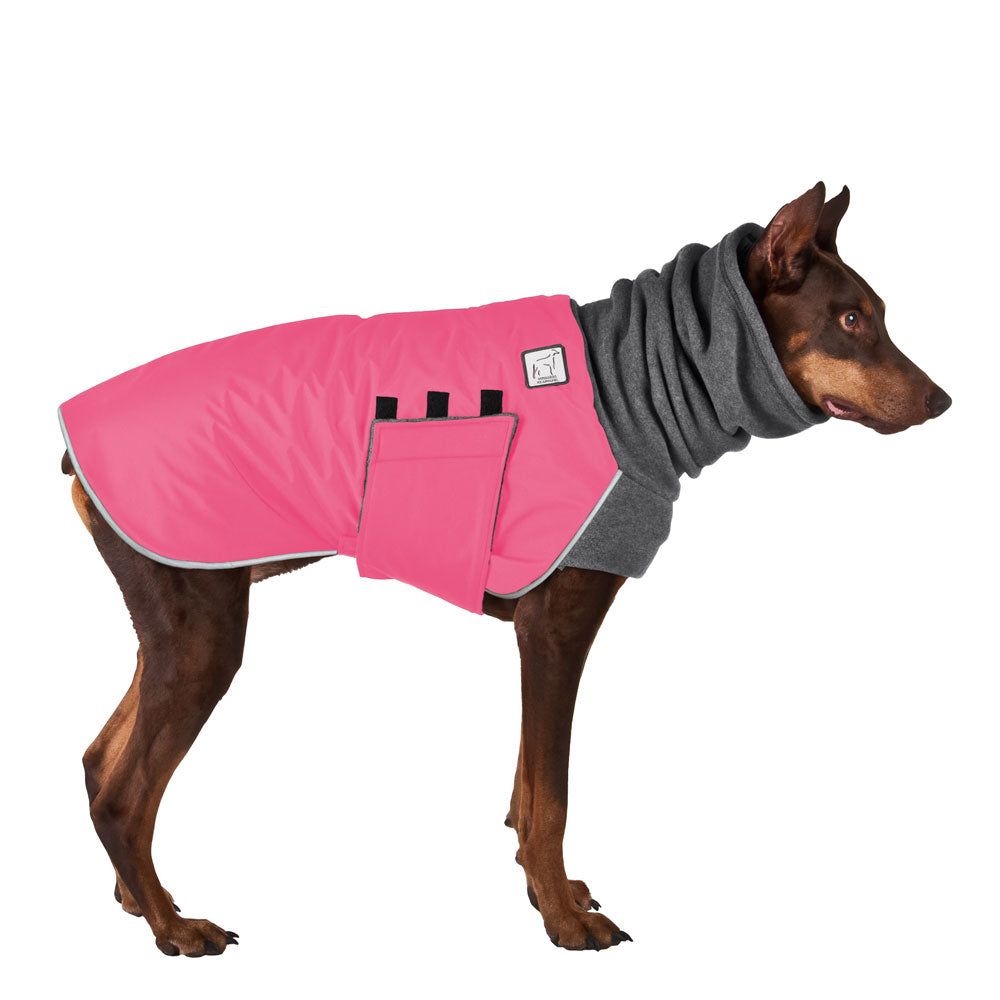 Doberman Pinscher Winter Coat