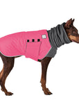 ReCoat ♻️ Doberman Pinscher Winter Coat with Harness Opening