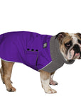 English Bulldog Winter Coat (Violet) - Voyagers K9 Apparel