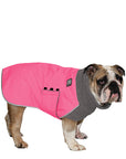 ReCoat ♻️ English Bulldog Winter Coat with Harness Opening