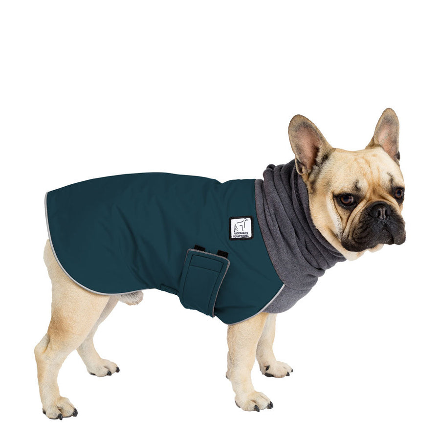 French Bulldog Winter Coat (Dark Teal) - Voyagers K9 Apparel