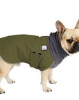 French Bulldog Winter Coat (Olive) - Voyagers K9 Apparel