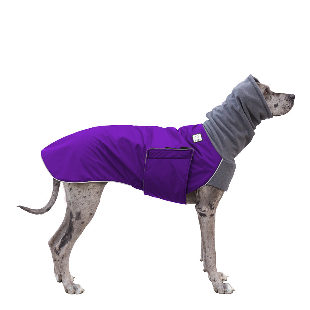 Great Dane Winter Coat