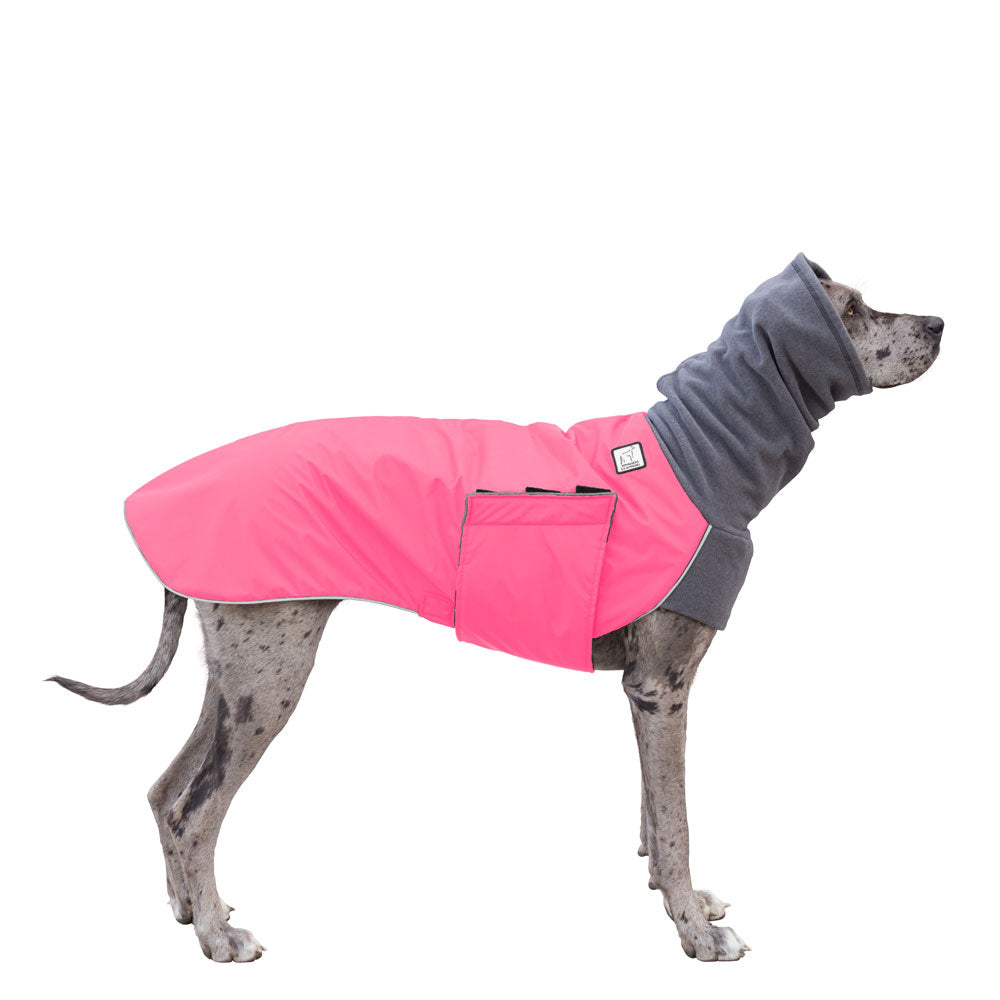 Great Dane Winter Coat