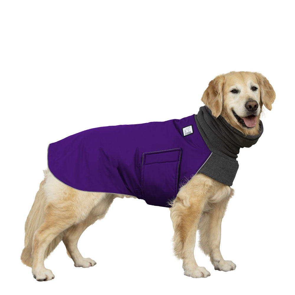 Golden Retriever Winter Coat