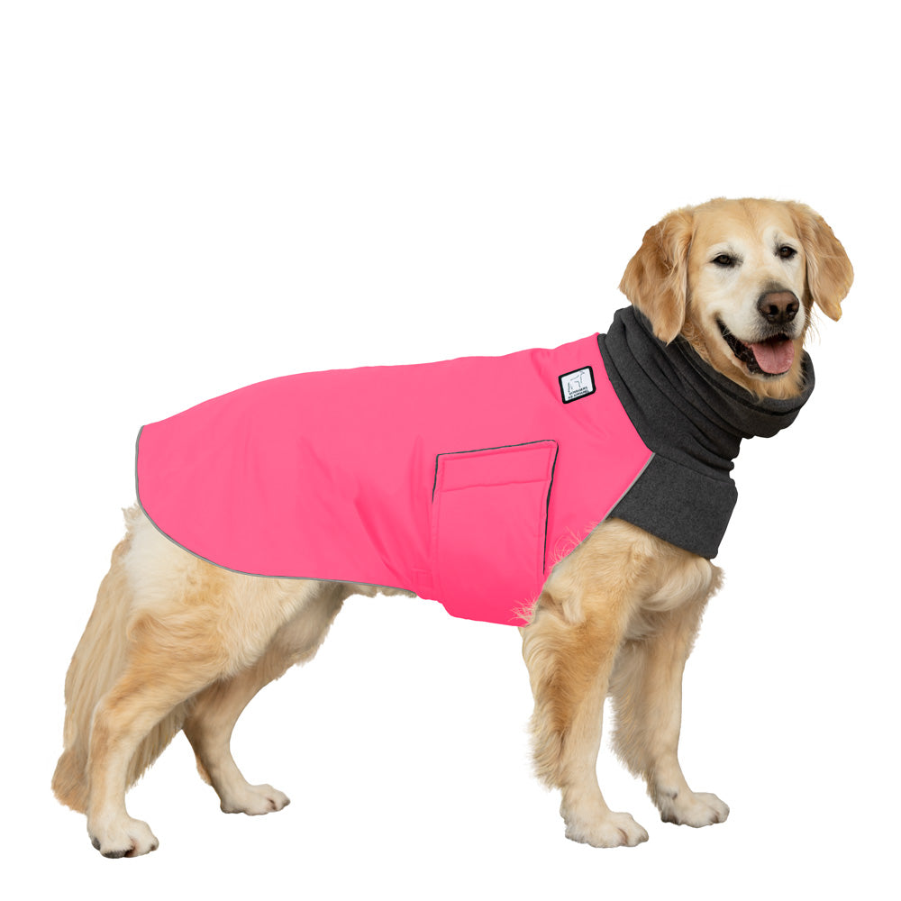Golden Retriever Winter Coat