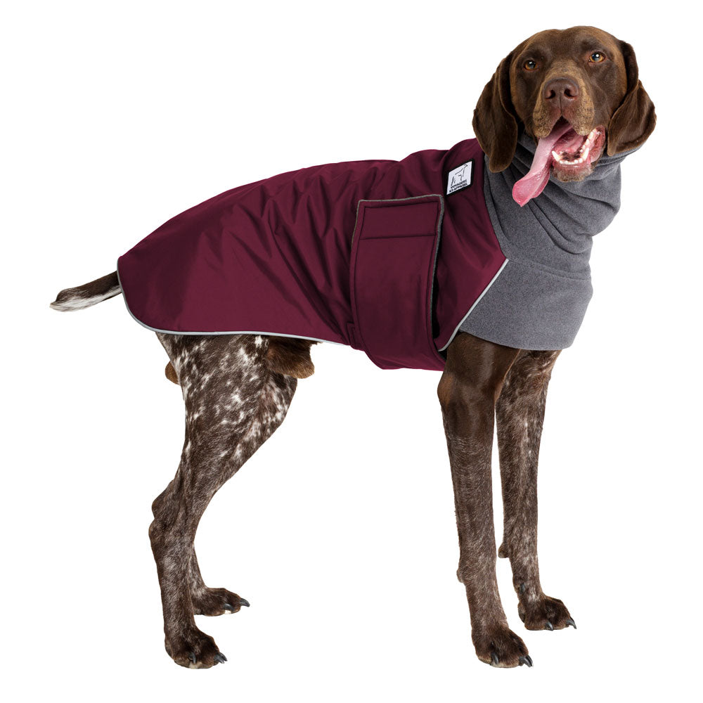 German Shorthaired Pointer Winter Coat (Burgundy) - Voyagers K9 Apparel