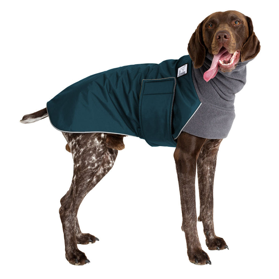 German Shorthaired Pointer Winter Coat (Dark Teal) - Voyagers K9 Apparel