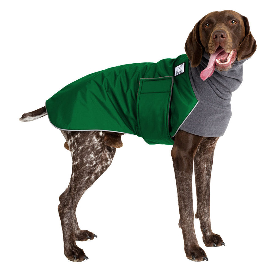 German Shorthaired Pointer Winter Coat (Special Order Green) - Voyagers K9 Apparel