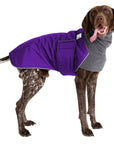 ReCoat ♻️ German Shorthaired Pointer Winter Coat with Harness Opening