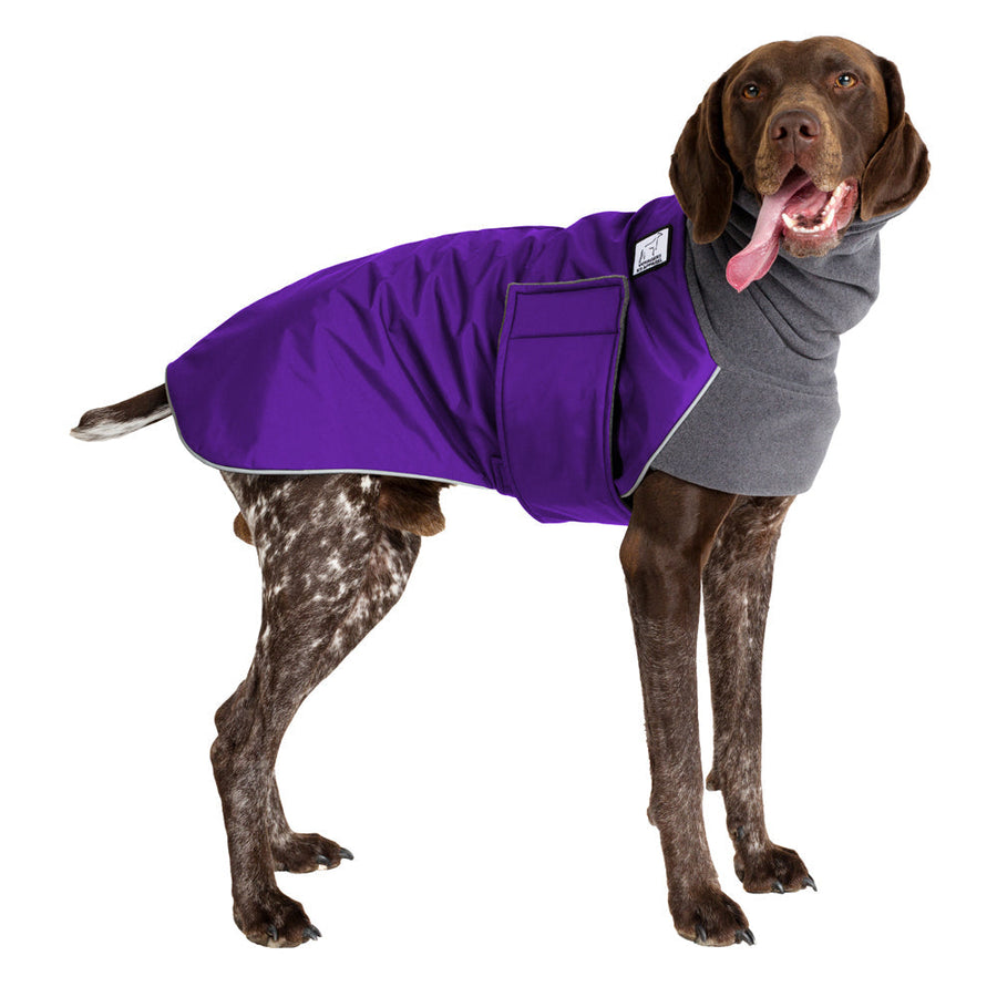 ReCoat ♻️ German Shorthaired Pointer Winter Coat with Harness Opening