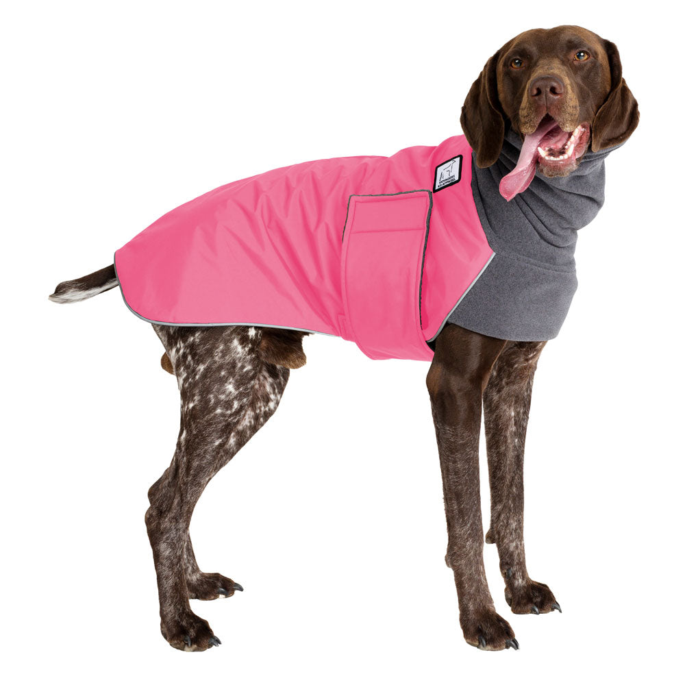 German Shorthaired Pointer Winter Coat